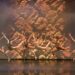 Le prestigiose coreografie sui temi più toccanti della Compagnia di Luisa Squillacioti al Teatro Comunale di Catanzaro