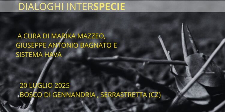 Serrastretta: oggi l’evento “Simbiosi nel bosco” a Gennandria, tra Viterale e Forestella