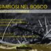 Serrastretta: oggi l’evento “Simbiosi nel bosco” a Gennandria, tra Viterale e Forestella