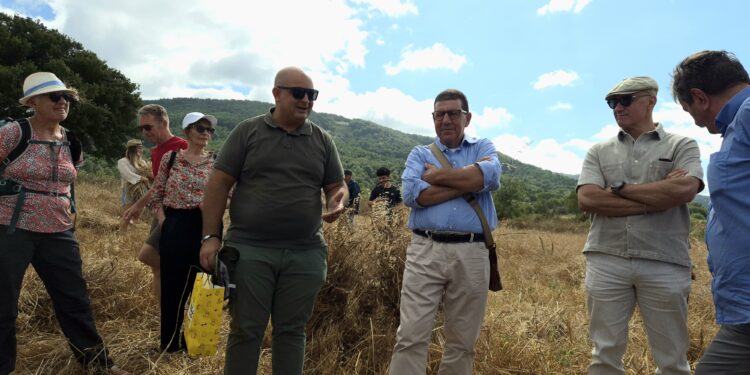 Falerna, il grano torna a parlare: emozioni e tradizioni nella IV edizione de “Le Vie del Grano”