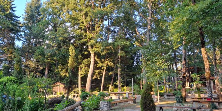 Sembra un test estivo ma è il de profundis per le aree interne