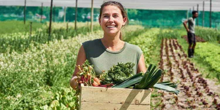 Calabria: pubblicato il bando per il Primo Insediamento dei Giovani in Agricoltura – SRE01