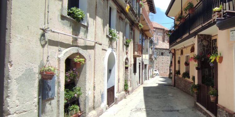 Petronà, la bellezza di Corso Vittorio Emanuele II con fiori e piante