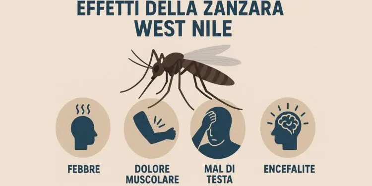 Asp di Catanzaro nota sul virus West Nile e come contrastare diffusione infezione