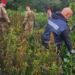Compagnia Carabinieri di Soveria Mannelli sequestrata canapa indiana: circa 4.800 piante nascoste e coltivate nel Reventino