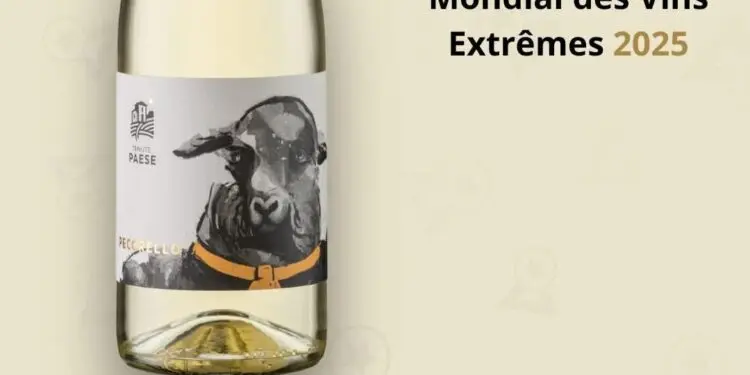 Medaglia d’Oro al Mondial del Vins Extreme 2025 al vino Pecorella delle Tenute Paese