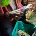 Vendemmia notturna per il vino Lunapiena: un’esperienza unica