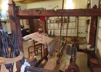 Il Museo della civiltà contadina di San Pietro Apostolo apre le porte agli studenti: tradizione, memoria e futuro.