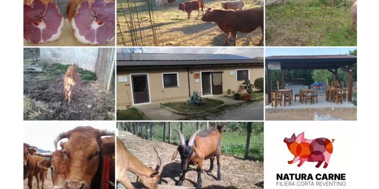Nasce la Filiera Corta “Natura Carne”, una nuova Associazione di Produttori promossa dal GAL dei Due Mari e finanziata dal PSR Calabria 2014–2020