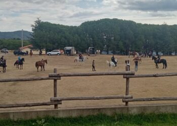 Zagarise: I cavalieri del Parco organizzano XIV raduno cavalli