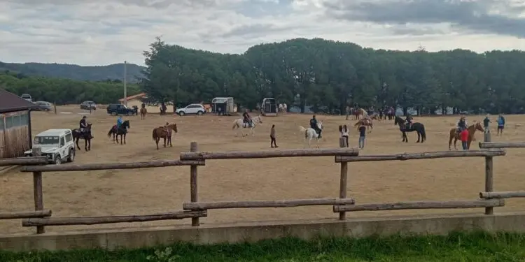 Zagarise: I cavalieri del Parco organizzano XIV raduno cavalli
