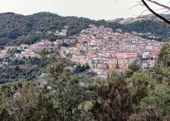 Sersale, ecco la libreria sospesa con associazione Arcobaleno