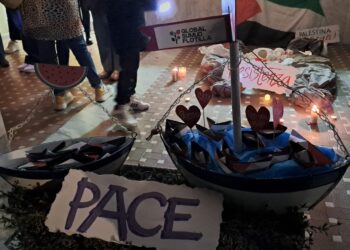 Flash mob davanti all’ospedale del Reventino per la Palestina e i tanti sanitari uccisi