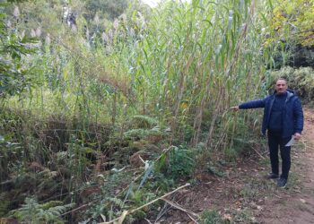 I torrenti Ponzo di Badolato e Ponzio di Girifalco: un errore toponomastico da correggere