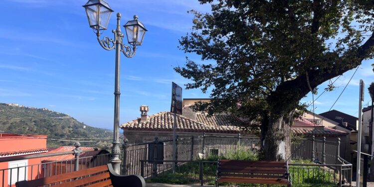 Montepaone illumina l’ultimo Albero della Libertà d’Italia: tutela, memoria e fruizione contemporanea