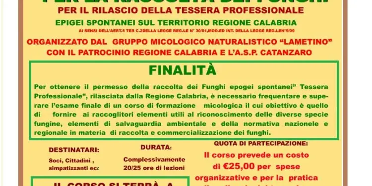 Al via il Corso di Formazione in Micologia a Serrastretta per la Tessera Professionale