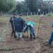 L’agraria dell’IIS “Costanzo” inaugura a Lamezia un nuovo oliveto a scopo didattico (video)