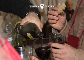 Cicala, grande attesa per “Parmientu: Cantine Itineranti” e Mimmo Cavallaro