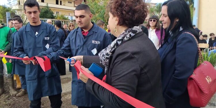 Lamezia, impiantato oliveto didattico nell’azienda dell’IPS “L. Costanzo” a Savutano