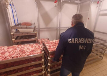 Carabinieri, sequestrati 150 chili di alimenti irregolari. Coinvolta anche attività di Soveria Mannelli