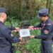 Comando provinciale Carabinieri Catanzaro scopre reati ambientali anche nel Reventino