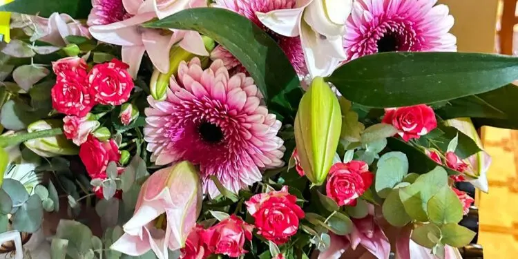 Zia Nunziata festeggia i suoi 103 anni: è la persona più anziana di Soveria Mannelli