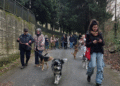 Martirano Lombardo, successo per la “Passeggiata a 4 zampe”