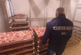 Ancora controlli dei NAS nel Reventino, sequestrati 11 kg di carne non tracciata a Serrastretta