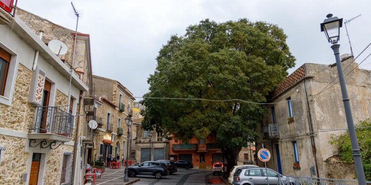 Andali, 16mila euro per la biblioteca comunale Da due anni tanti gli eventi culturali