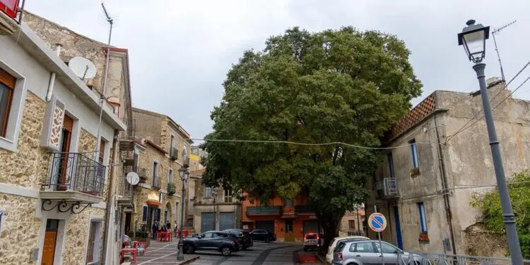 Andali, 16mila euro per la biblioteca comunale Da due anni tanti gli eventi culturali