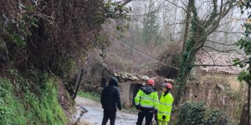 Decollatura, Comune provvede a taglio alberi pericolanti nella frazione Adami. Intervento dei Ners