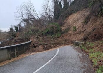 Maltempo, Scigliano completamente isolato – Chiusa la SP 64. Disagi pesanti in tutta l’area Reventino-Savuto