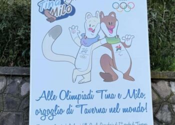Taverna, le mascotte tavernesi Tina e Milo conquistano il mondo per creatività e originalità