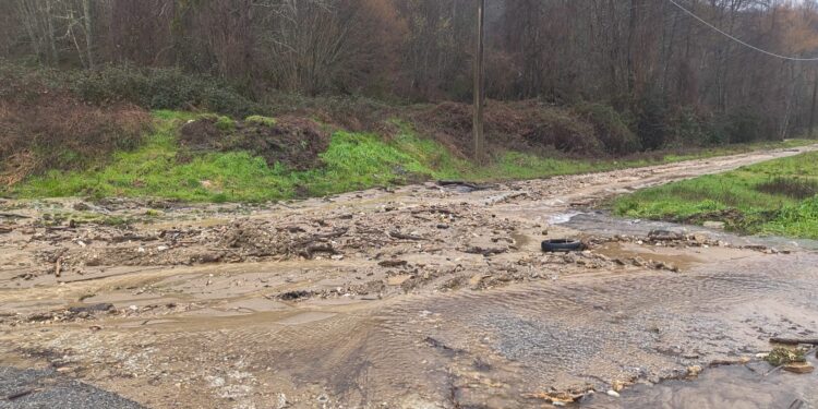 Foto e video da Colosimi, strade allagate e bloccate dalle frane. A Bianchi cade palo Enel: senza luce alcune zone
