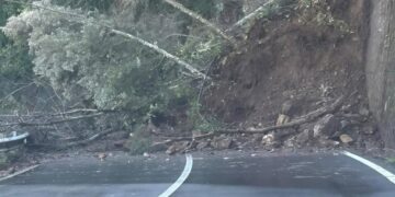 Pentone, copiosa frana tra santuario di Termine e località Cafarda