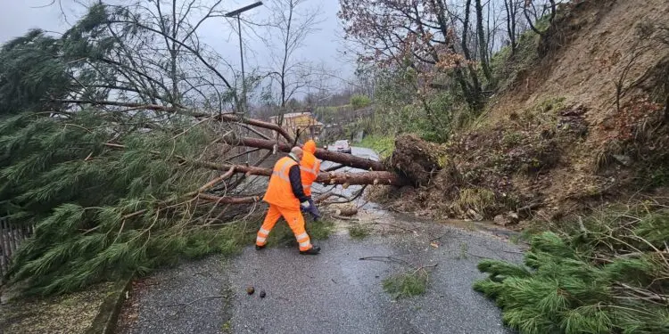 Maltempo, Scigliano completamente isolato – Chiusa la SP 64. Disagi pesanti in tutta l’area Reventino-Savuto