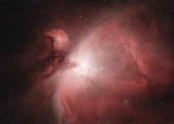 La Nebulosa di Orione (M42) in una foto di Luca Colistra