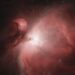 La Nebulosa di Orione (M42) in una foto di Luca Colistra