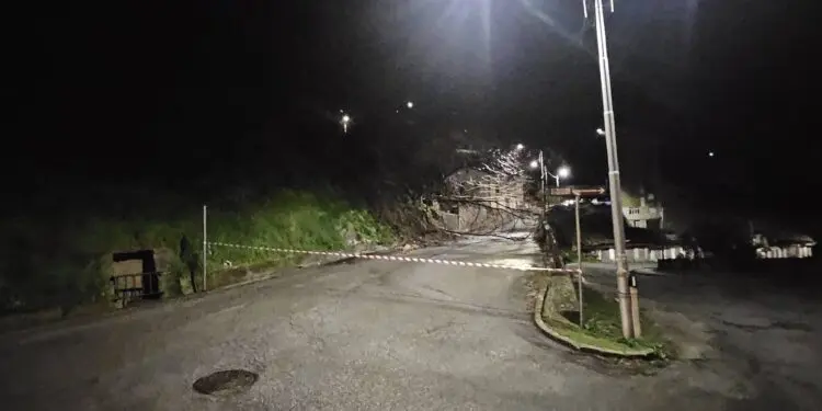 Scigliano: intervento notturno dei tecnici Enel per mettere in sicurezza una cabina elettrica