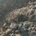 Maltempo nel Reventino, video-reportage sulle zone colpite a Decollatura