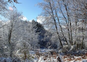 Neve di primavera sul Reventino, arrivo di aria gelida dalla Scandinavia