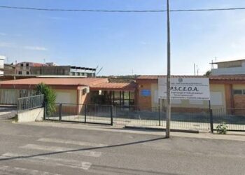 Botricello, l’indirizzo commerciale fa la buona scuola