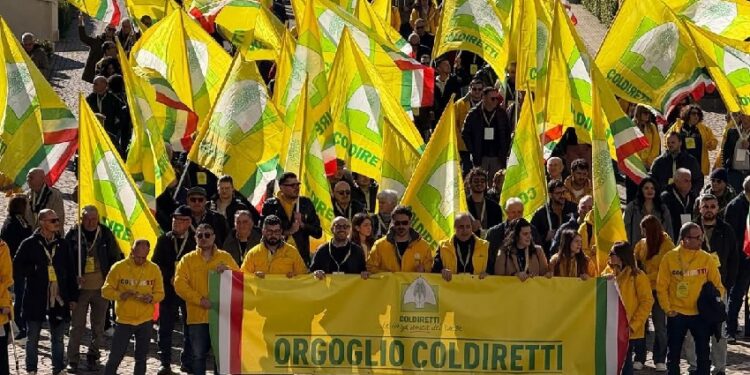 I Comuni del Reventino e del Lametino a sostegno di Coldiretti per la modifica del codice doganale