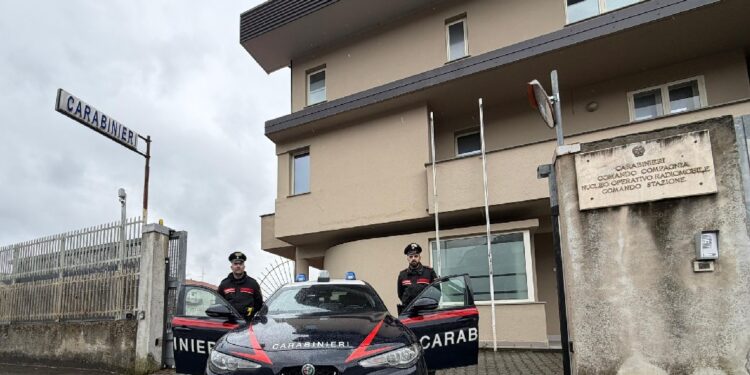 Conflenti, quattro arresti per coltivazione canapa indiana, sequestrati beni e denaro