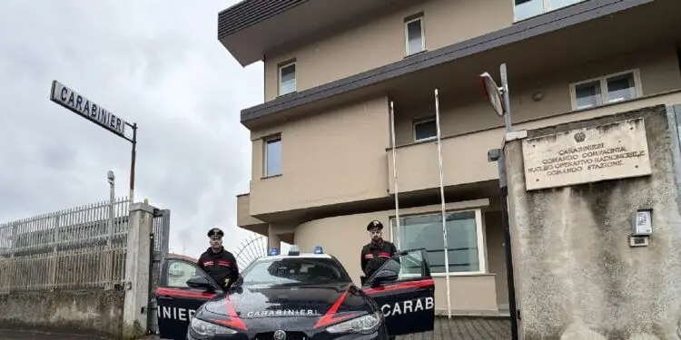 Conflenti, quattro arresti per coltivazione canapa indiana, sequestrati beni e denaro