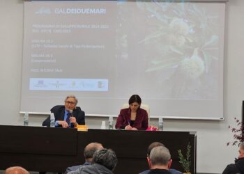 Gal dei Due Mari riconfermato presidente Esposito, vice il sindaco di Sersale Capellupo