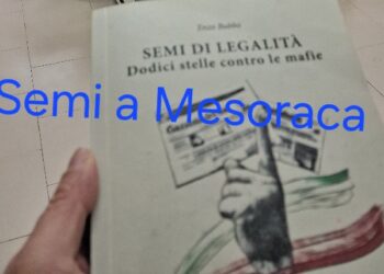 Mesoraca, incontro per la legalità con il saggista Enzo Bubbo