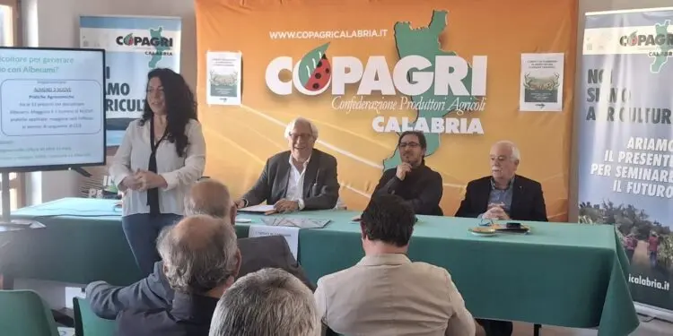 Le buone pratiche per ottimizzare la cattura del carbonio nei terreni agricoli