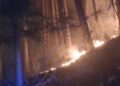 Altro grosso incendio a Conflenti, stavolta interessato un bosco comunale a San Mazzeo (video)