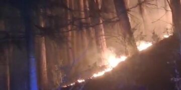 Altro grosso incendio a Conflenti, stavolta interessato un bosco comunale a San Mazzeo (video)